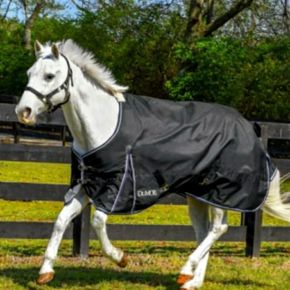 Dumor Horse Blanket